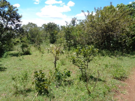 Property for Sale Image