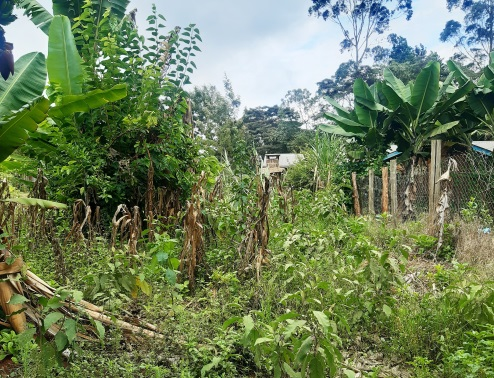 Property for Sale Image