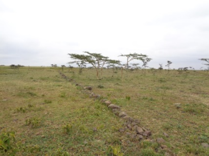 Property for Sale Image