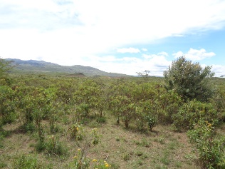 Property for Sale Image